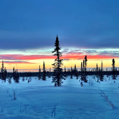 Alaska Northern Lights