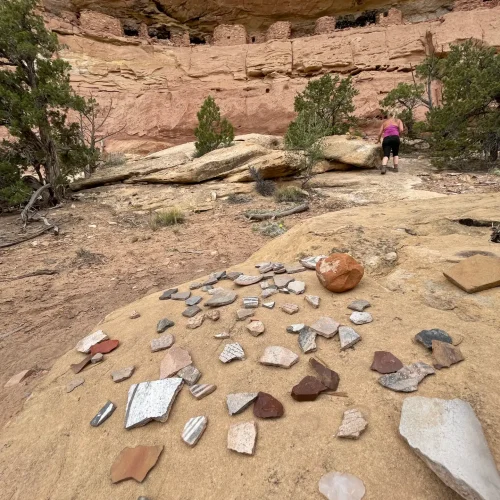 Pottery sherds