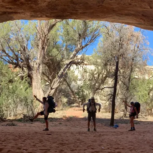 Alcove in Bears Ears