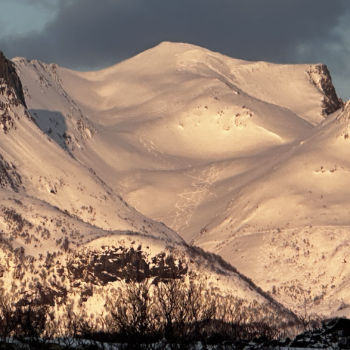 Ski tracks near Svolvær